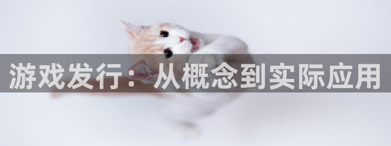 蓝图娱乐注册平台怎么注册的：游戏发行：从概念到实际应用