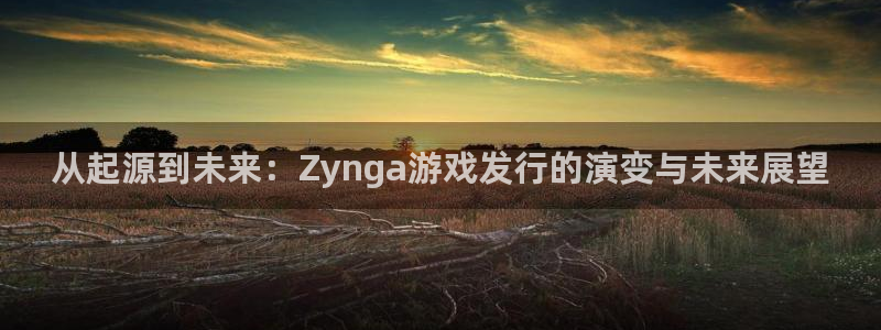 蓝图娱乐注册平台是什么意思：从起源到未来：Zynga游戏发行的演变与未来展望