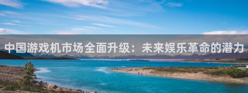 苏州蓝图娱乐官网网络科技有限公司：中国游戏机市场全面升级：未来娱乐革命的潜力