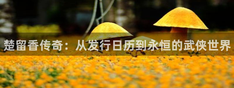 蓝图娱乐官网电子商务有限公司怎么样知乎