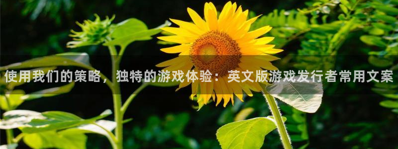 蓝图娱乐注册方法是什么软件：使用我们的策略，独特的游戏体验：英文版游戏发行者常用文案